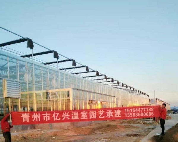 山東省東營市牛中莊案例工程