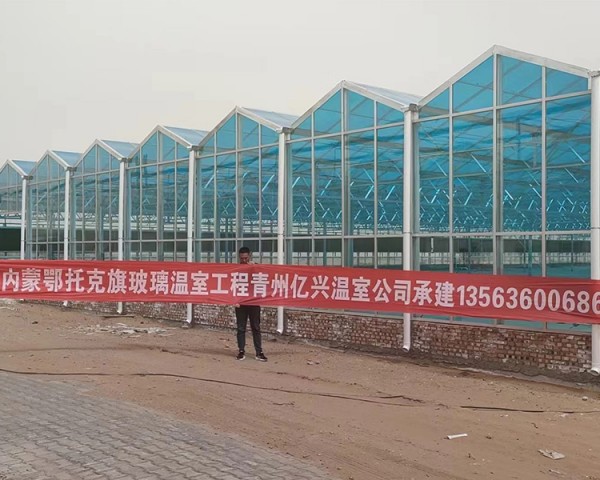 內蒙鄂托克旗玻璃溫室